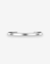 Polished Silver